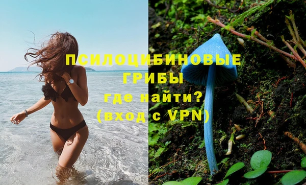 a pvp Новозыбков