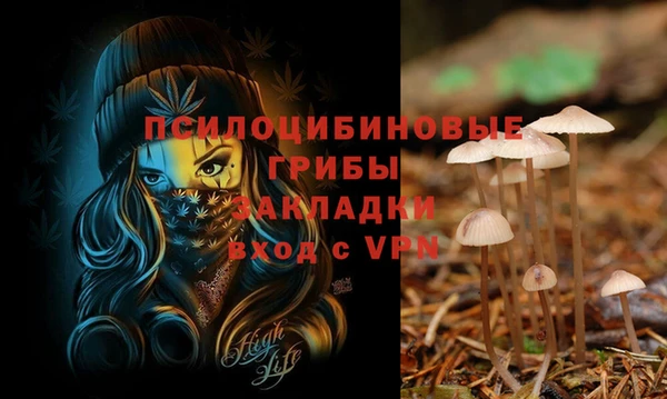 a pvp Новозыбков