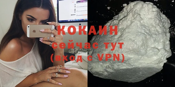 гашик Нея