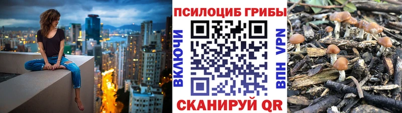 Псилоцибиновые грибы Psilocybe  Любань 